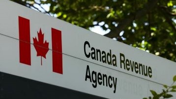 Taxpayer Representation including CRA Audit